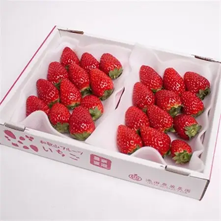 ＜1月より発送＞朝摘み完熟まりひめ約600g(300g前後×2P)【和歌山ブランド苺】【いちご】【配送不可地域：離島・北海道・沖縄県・東北・関東・九州】【1311842】