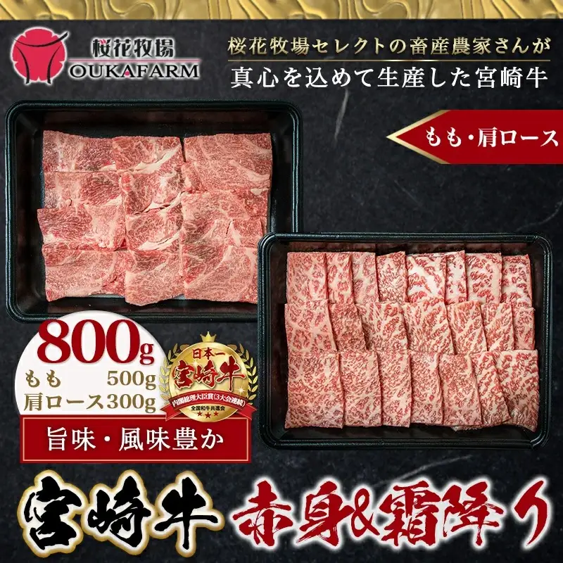 宮崎牛赤身＆霜降り【とろ旨カルビセット】800g〔22-6506〕_(都城市) 牛肉 牛もも焼肉用(500g) 牛肩ロース焼肉用(300g) 合計800グラム 焼き肉用カット 鉄板焼き BBQ 牛モモ肉 霜降り肉 ギフト 贈答用