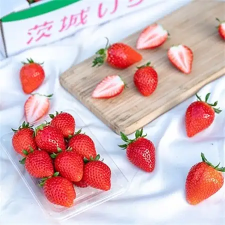 やよいひめ　朝摘み・当日発送　250g×4パック_苺 イチゴ 朝摘み 新鮮 いちご_【配送不可地域：離島・沖縄県】【1329784】