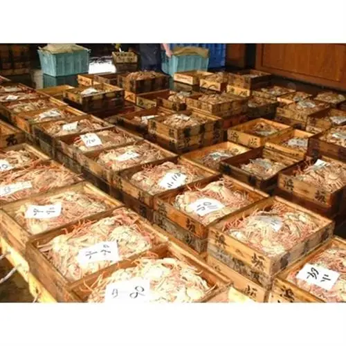 松葉ガニの本場　生セコガニ(冷蔵)中サイズ　10枚(訳あり)　兵庫県新温泉町　ご家庭で茹でてアツアツ【配送不可地域：離島・北海道・沖縄県・東北】【1132206】