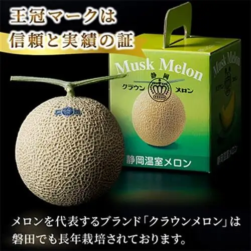 【通年出荷】クラウンメロン(白等級) 1玉 化粧箱入_マスクメロン ギフト 高級_【配送不可地域：離島・北海道・沖縄県】【1416424】