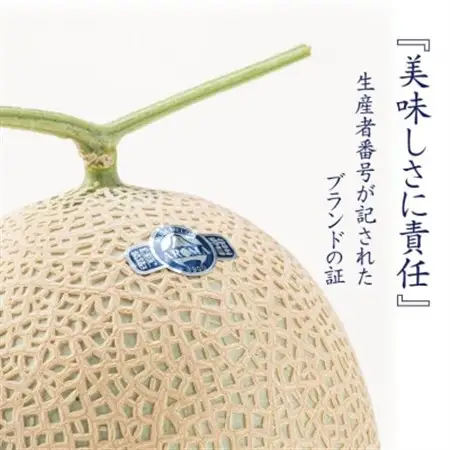 【通年出荷】アローマメロン(中玉)1玉入【静岡高級マスクメロン】_メロン めろん アローマメロン 化粧箱 1玉 果物 くだもの フルーツ デザート 甘い 贈答 ギフト プレゼント 産地直送 静岡県 送料無料_【配送不可地域：離島・北海道・沖縄県】【1447114】
