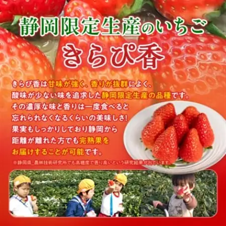 先行受付/2026年12月上旬発送開始!抜群の美味しさ!静岡限定:きらぴ香いちご 280g×4パック_いちご イチゴ 苺 きらぴ香 ストロベリー 静岡 果物 くだもの フルーツ デザート 産直 産地直送 送料無料_【配送不可地域：離島・北海道・沖縄県・東北・中国・四国・九州】【1453521】