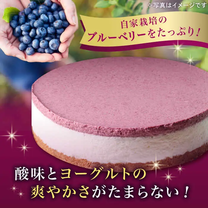 【全3回定期便】ブルーベリー ヨーグルト ムース ケーキ 国産 ブルーベリー [ABAK004] 