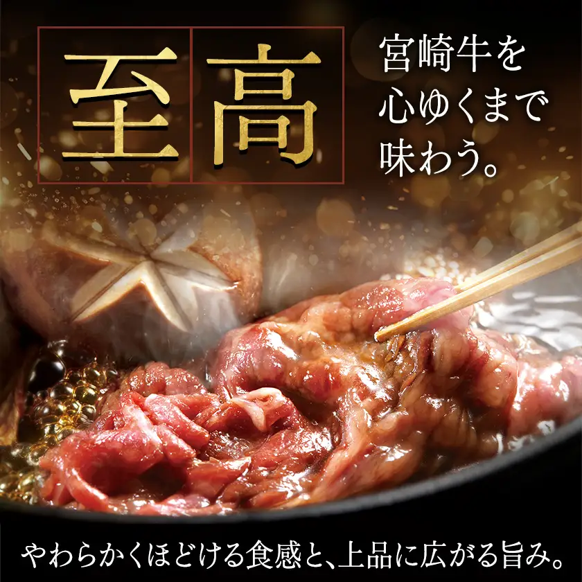 宮崎牛(A5)ローススライス500g〔AD-0102〕_(都城市) 宮崎牛ロース薄切り肉 500g×1パック A5ランク 5等級 すき焼き 国産牛肉 九州産 宮崎県産牛肉 都城産 霜降り肉 ギフト 贈答用