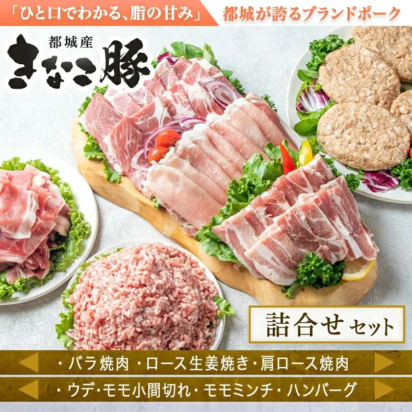 「きなこ豚」詰合せ3kg〔AD-12-003〕_(都城市) ブランド豚 柔らかい豚肉 豚バラ焼肉用 豚ロース生姜焼き 豚肩ロース焼き肉 ウデモモ小間切れ モモミンチ ハンバーグ おかず