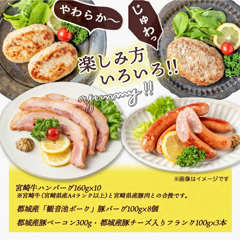 宮崎牛合挽ハンバーグとバラエティ3kgセット〔17-1507〕_(都城市) ジューシーな合挽ハンバーグ(160g×10) ブランドポーク 観音池ポークの豚バーグ(100g×8個) トンバーグ ベーコン チーズ入りフランク 惣菜 お弁当 おかず