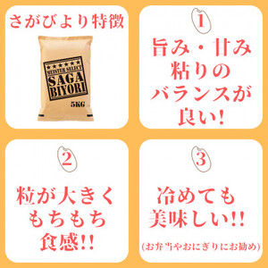 令和7年産 《マイスターセレクト》 食べ比べ さがびより ＆ 夢しずく 白米 各5kg(計10㎏) 086-B1032