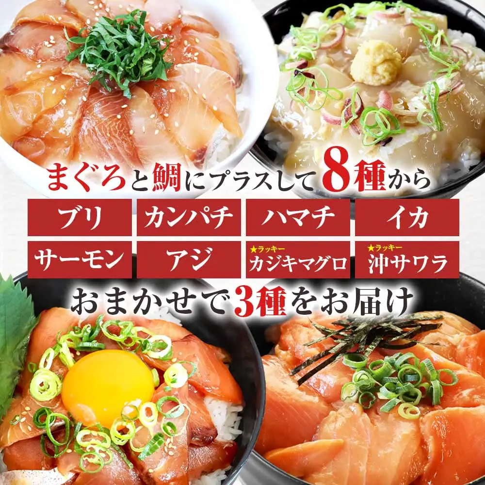 漬け丼 海鮮5種食べ比べセット 訳あり 5種×2P 計10パック 各80g【漬け丼】