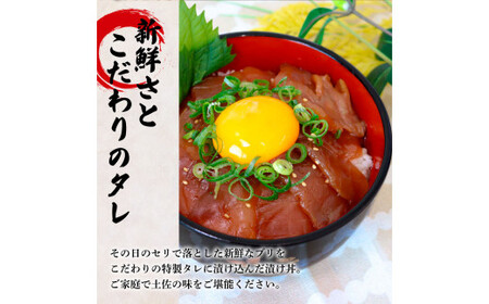 これが魚屋の漬け丼だ！～ブリ～ 《訳あり》 ８０ｇ×５P 