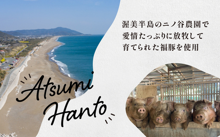 季節限定　5月～12月発送　福豚餃子