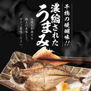 厳選干物 3種（連子鯛・アジ・サバ）32枚 ／ 訳あり 干物 詰め合わせ【B167】