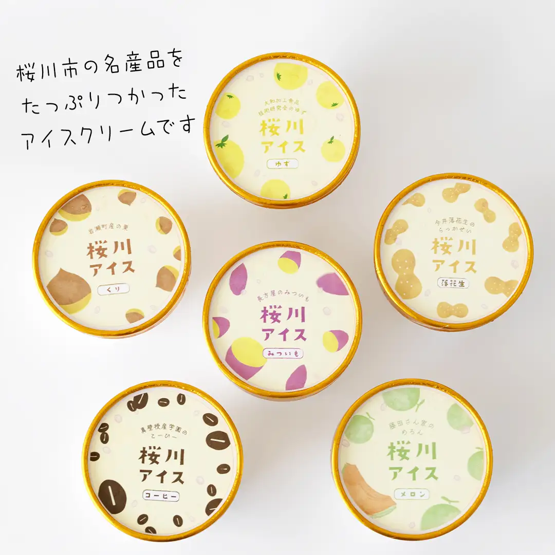 【生産者支援】桜川アイス 6種 12個 セット  数量限定 食べ比べ 90ml×6種類 桜川市のこだわり素材を使用 アイス あいす デザート スイーツ 産地限定 おやつ カップ フレーバー メロン ゆず 蜜芋 コーヒー 栗 茨城県  [SC041sa]