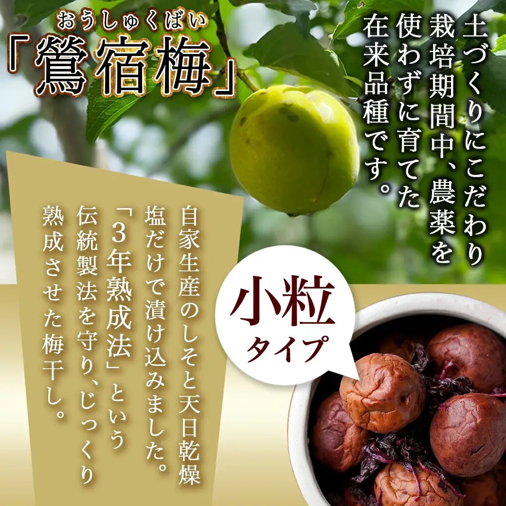 徳重おばあちゃんの3年熟成小粒梅干し1.5kg 〔AD-49-003-1500g〕_(都城市) 紅梅 いのちの梅干し 3年熟成小粒梅干(500g×3個) 塩分12％ 長期熟成 自家農園 伝統農法 お弁当 おにぎり ごはんのお供に なつかしい味の梅干し
