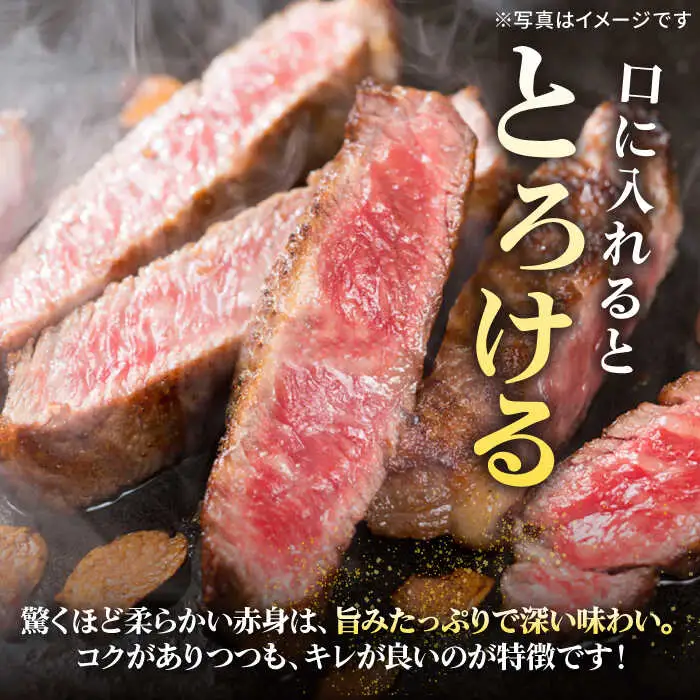 【全12回定期便】 特選 壱岐牛 サーロインステーキ 200g×2枚 《壱岐市》【太陽商事】[JDL091] 冷凍配送 黒毛和牛 A5ランク 肉 牛肉 サーロイン ステーキ サーロインステーキ 赤身 焼肉 焼き肉 定期便 348000 348000円 焼肉用 九州