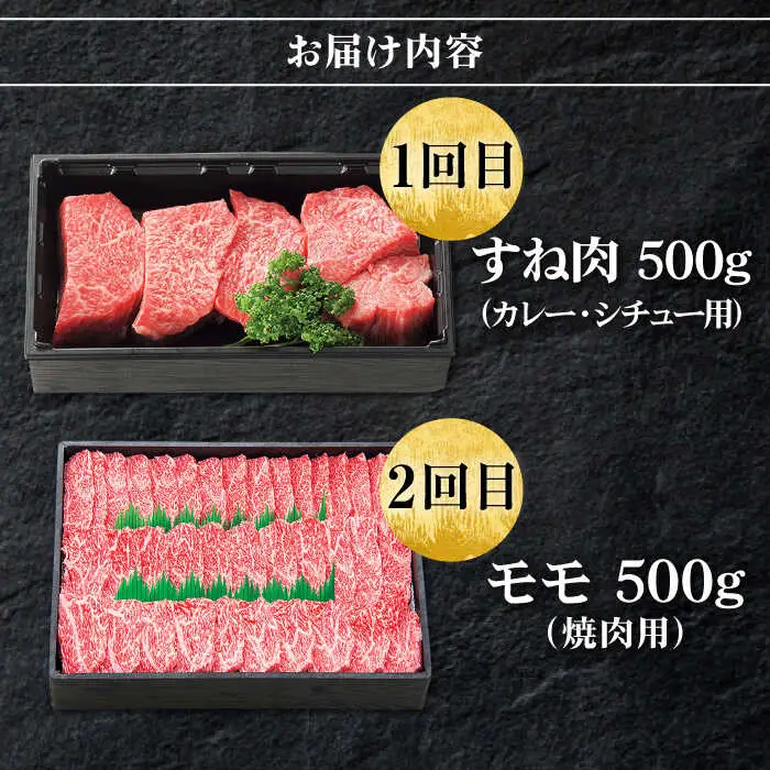 【全8回定期便】 特選 壱岐牛 月イチ ご褒美 定期便 《壱岐市》【太陽商事】[JDL093] ステーキ サーロイン モモ 焼肉 すき焼き しゃぶしゃぶ 249000 249000円