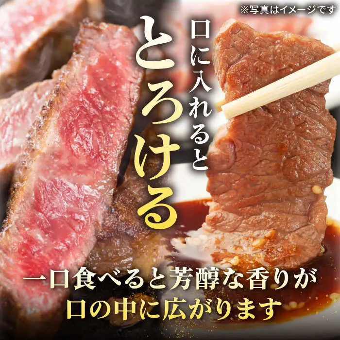 【全4回定期便】 特選 壱岐牛 プラスワン（＋1） 定期便 《壱岐市》【太陽商事】[JDL096] ステーキ サーロイン モモ 焼肉 すき焼き しゃぶしゃぶ 153000 153000円 15万円
