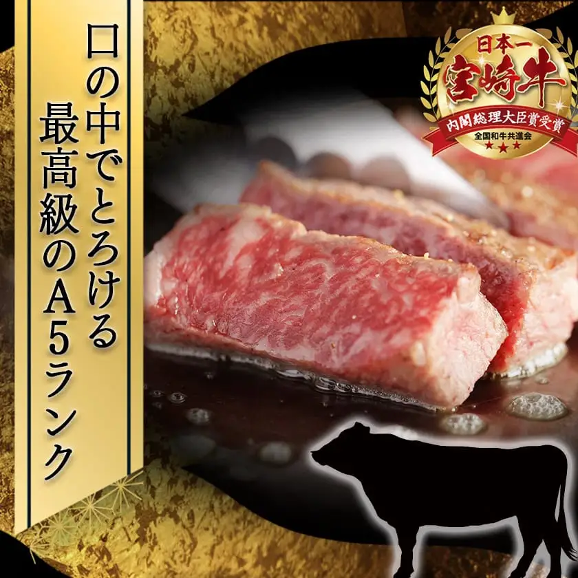 宮崎牛(A5)サーロインステーキ220g×2枚〔AD-77-001〕_(都城市) A5ランク サーロインステーキ(220g×2枚セット) ステーキソース(2個) あらびきコショウ(2個) ブランド牛肉 最高等級 5等級 ギフト 贈答用