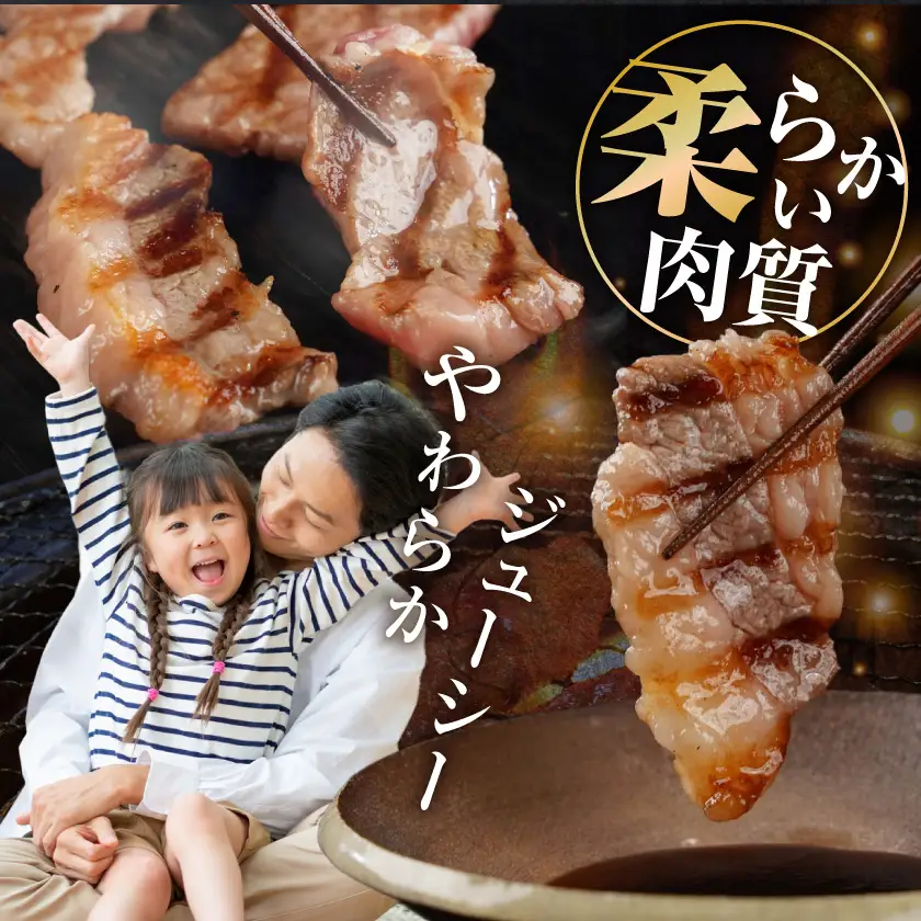 宮崎牛バラ焼肉1kg(真空)〔17-8903〕_(都城市) 牛肉 牛バラ焼肉用カット肉(500グラム×2袋) 合計1キロ 肉質等級 4等級・5等級 バラ 宮崎牛 真空