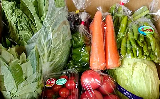 【定期便12ヶ月（2027年）】旬の野菜詰め合わせ