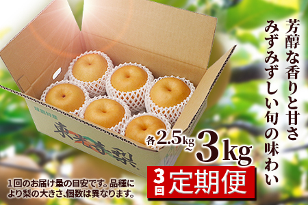 先行予約【梨 3品種 定期便】東光寺 梨 2.5～3kg (5～7玉)×3回配送 完熟【2024年7月下旬～発送分】 フルーツ 定期便 なし ナシ 果物 夏 旬 幸水 豊水 秋月 新高 シャリシャリ 025-0574