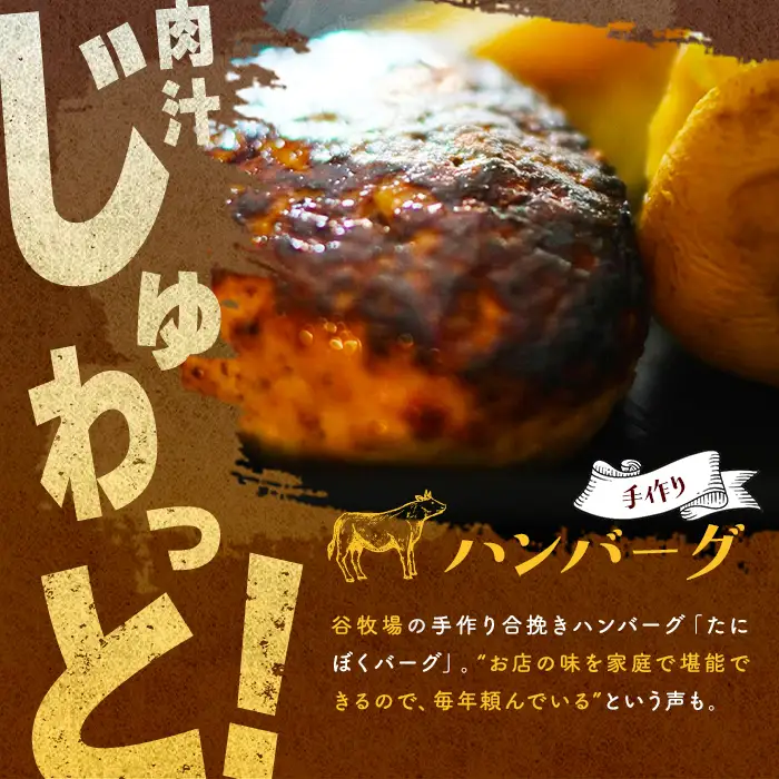 ハンバーグ 手作り たにぼくバーグ 20個 ハンバーグ