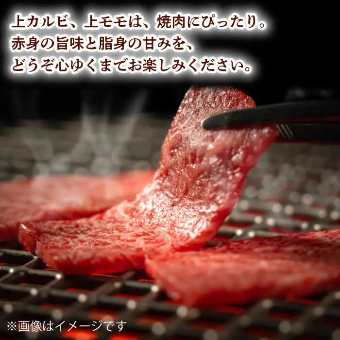 霜降り 焼肉セット 上カルビ 上モモ 計400g (200g×2) 長崎和牛 焼き肉 【夢ファームシュシュ】 [WF21] 肉 牛肉 カルビ モモ 焼肉 バーベキュー BBQ 九州 九州産