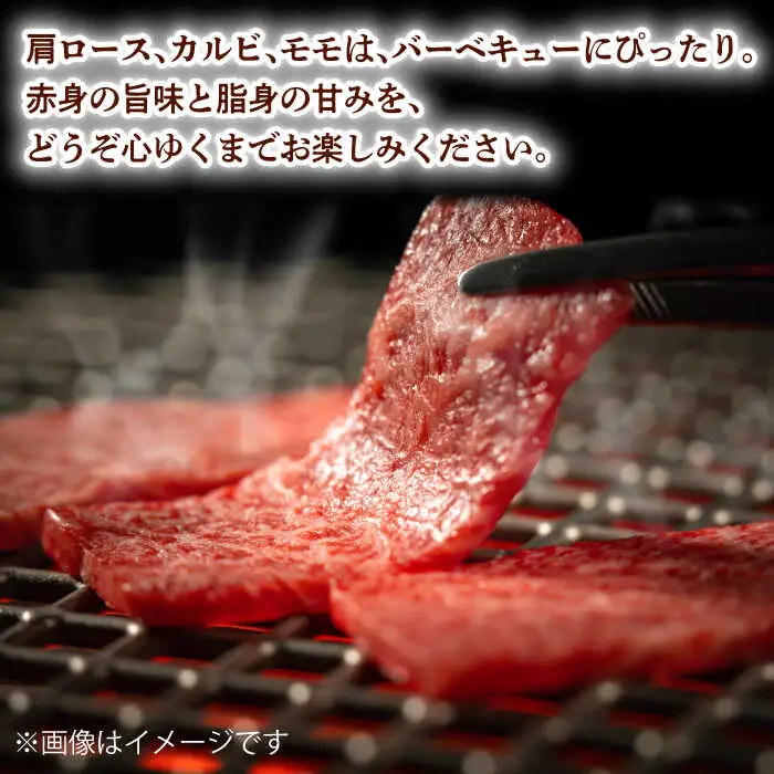 【第6回定期便】和牛 バーベキュー セット 肩ロース カルビ モモ 計600g (200g×3) 長崎和牛 焼肉 【夢ファームシュシュ】 [WF42] 肉 牛肉 ロース もも 焼肉 BBQ 定期便