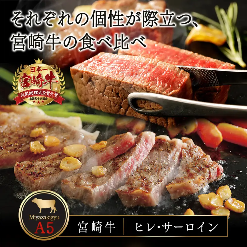 宮崎牛(A5)ヒレ&サーロインステーキ600g〔MB-0125〕_(都城市) 牛肉 牛サーロインステーキ肉 (200g×2枚) 牛ヒレステーキ肉(100g×2) 合計600グラム 食べ比べ 贅沢ディナー Ａ5ランク 5等級 ギフト 贈答用