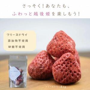 紅茶 ふわっと越後姫とふわっとドライ苺紅茶 各10袋セット 上越市 新潟 茶 苺