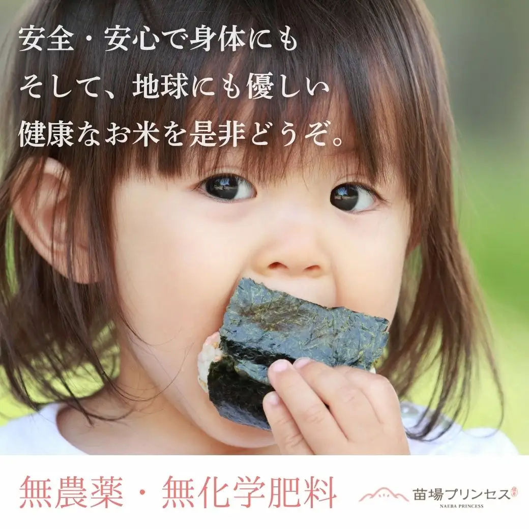 【令和8年産先行予約】魚沼産コシヒカリ 苗場プリンセス 特別栽培米 農薬化学肥料5割減 玄米10kg（5kg×2） |津南町 魚沼産 コシヒカリ