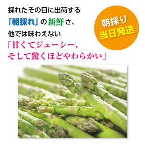 【2026年夏発送】寅福菜園の朝採り夏アスパラ　2L（800g）　朝採れ　農家直送　新鮮　グリーンアスパラ　夏野菜　旬野菜　シャキシャキ　とれたて　北海道産