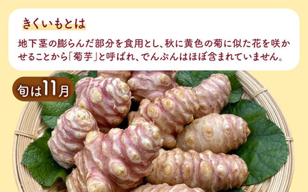 焙煎 築上きくいも茶 3g×15包 菊芋 お茶 [ABBZ016]