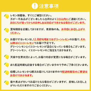 【先行受付】【2026年11月上旬～発送】とびしまレモン1kgとレモンシロップセット ku118-007-26