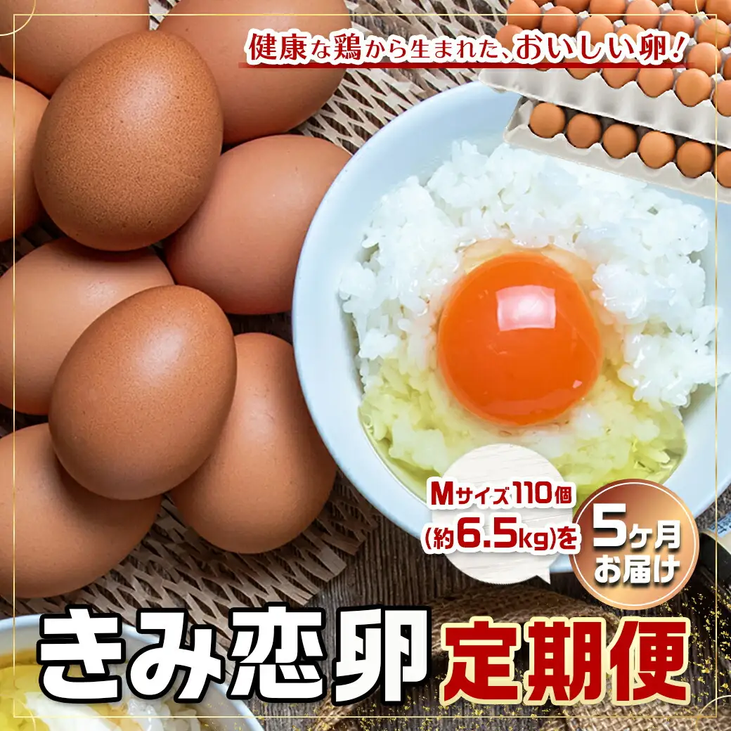 「きみ恋卵」110個定期便(5ヶ月)〔T85-5-29-011-110〕_(都城市) 赤卵 きみ恋卵 Ｍサイズ 110個 約6.5kg