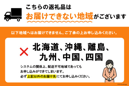 野菜セット 10種 詰め合わせ