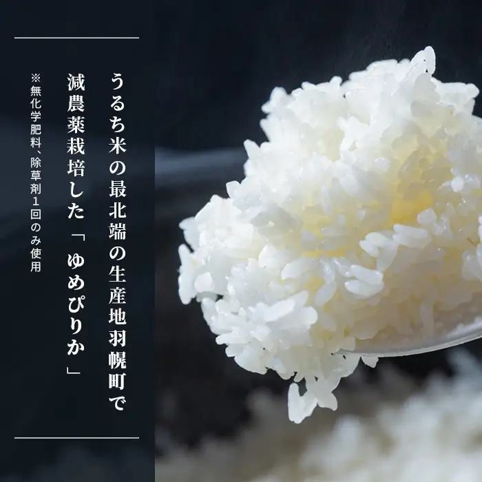 【2025年産】北海道産 特別栽培米 ゆめぴりか 10kg （無化学肥料、除草剤一回だけで栽培した体に優しいお米）【2510403】