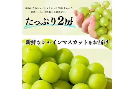 シャインマスカット 2房 （ 約1kg ）| フルーツ シャインマスカット 