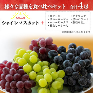 シャインマスカットと季節のぶどう セットA（4房入り）約2kg | フルーツ 果物 くだもの ぶどう 葡萄 ブドウ シャイン マスカット 奈良県 平群町 季節 セット