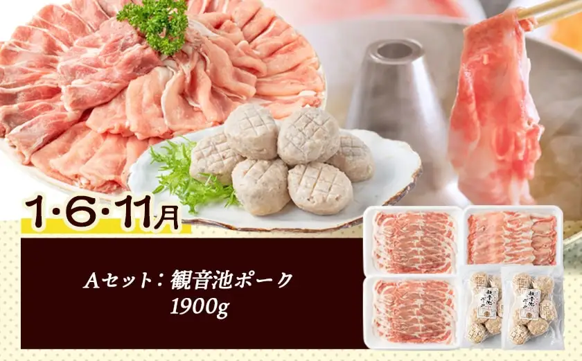 豚・鶏5種類の定期便（12ヶ月間）〔T100（12）-1501〕_(都城市) 観音池ポーク 焼くだけミートポーク6種セット 宮崎名物チキン南蛮セット 観音池ポークスライスセット 宮崎県産鶏焼くだけミート6種セット