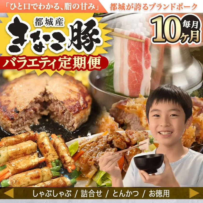 「きなこ豚」バラエティ定期便(10ヶ月)〔T120（10）-1202〕_(都城市) 宮崎県産豚肉 都城産きなこ豚 豚バラ ロース 肩ロース ウデ・モモ ミンチ ハンバーグ 小間切れ しゃぶしゃぶ とんかつ 焼き肉 生姜焼き