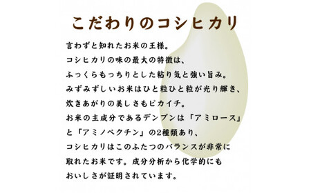 有機JAS認証米コシヒカリ白米５kg　【07208-0248】