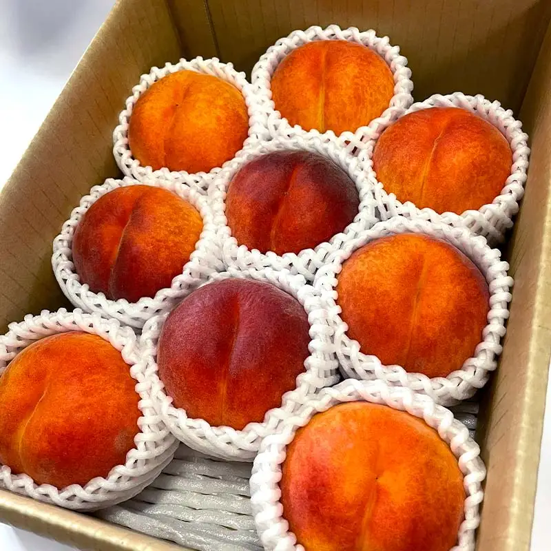 【2026年度先行予約】希少桃 ワッサー 2kg 5玉～9玉 FSY-1026
