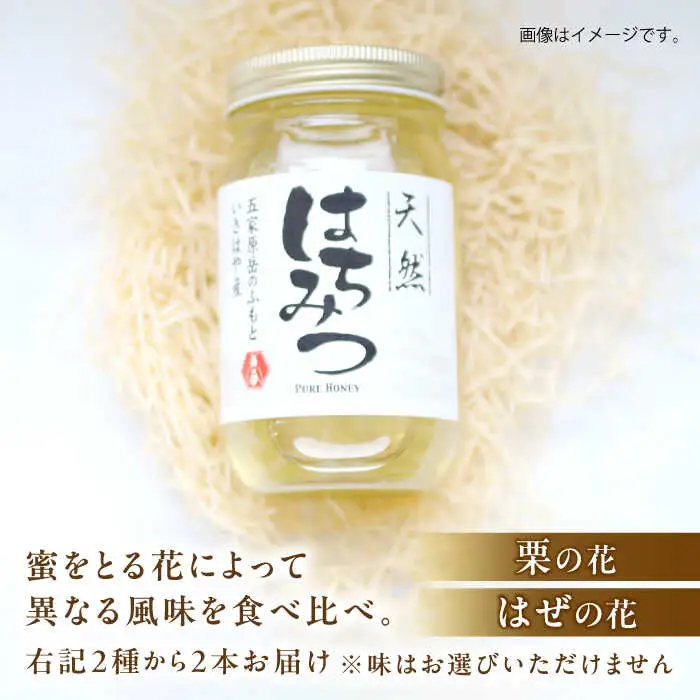長崎県産天然はちみつ600g(2本セット) / 百花蜜 百花蜂蜜 蜂蜜 はちみつ ハチミツ / 諫早市 / 坂口養蜂 [AHDB001]