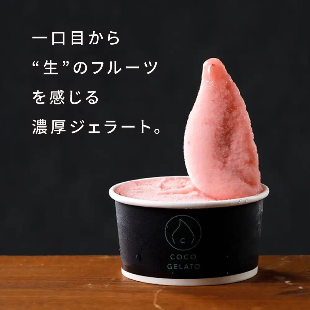 糸島 フルーツ 生ジェラート 9個セット 糸島市 / COCO GELATO [AON001]