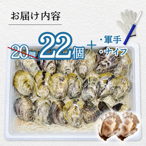 先行予約 あまべ牡蠣 22個 牡蠣 シングルシード 生食用 殻付き かき カキ オイスター 生ガキ 生牡蠣 生がき 生かき ギフト 貝 旨味 【2026年12月以降にお届け】