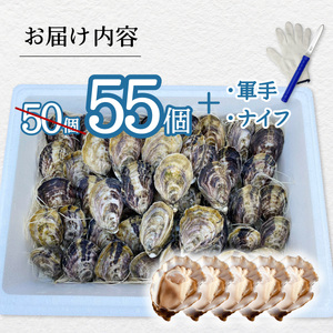先行予約 あまべ牡蠣 55個 牡蠣 シングルシード 生食用 殻付き かき カキ オイスター 生ガキ 生牡蠣 生がき 生かき ギフト 貝 旨味 【2026年12月以降にお届け】