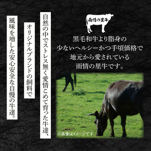 雨情の里牛ローススライス700ｇ「焼き肉用」【ブランド牛 牛肉 お肉 やきにく 焼肉】(BL203)
