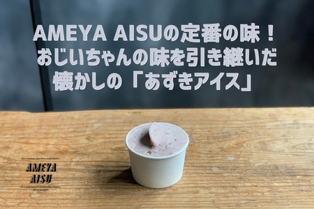 AMEYA AISU アイスクリーム＆シャーベット おまかせギフトボックス 100ML×6個入