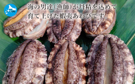 海洋牧場育ち養殖活蝦夷あわび（7㎝～7.4㎝×6個）　活アワビ　鮑　海鮮　産地直送　魚介類　海の幸　おせち　エゾアワビ　冷蔵　アワビ　BBQ　バーベキュー　蝦夷鮑